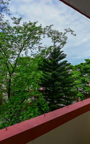 Apartamento à venda com 55m², 2 quartos e 1 vagaVaranda
