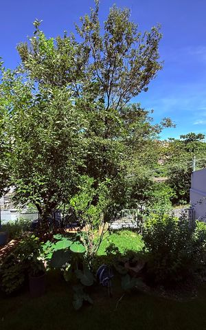 Casa à venda com 171m², 3 quartos e 4 vagas