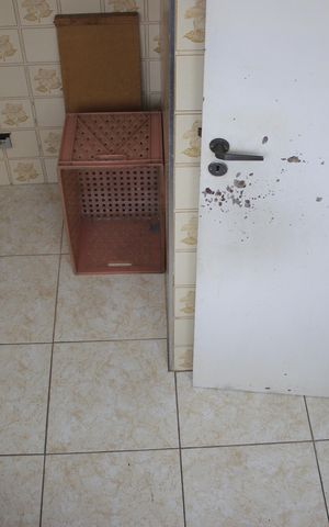Apartamento à venda com 70m², 2 quartos e 1 vagaLavanderia 
