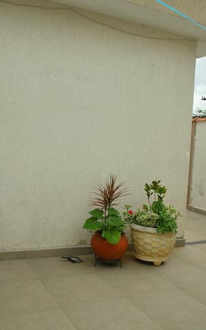 Casa à venda com 407m², 2 quartos e 2 vagasQuintal 