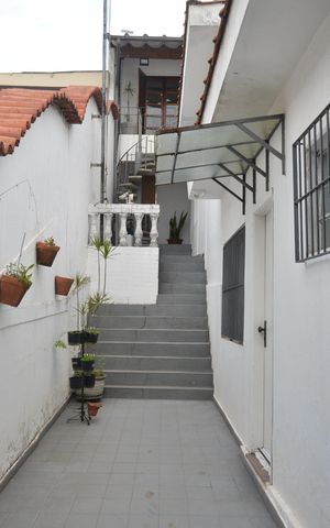 Casa para alugar com 278m², 6 quartos e 4 vagasQuintal