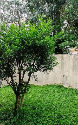 Casa à venda com 293m², 3 quartos e 5 vagasGaragem