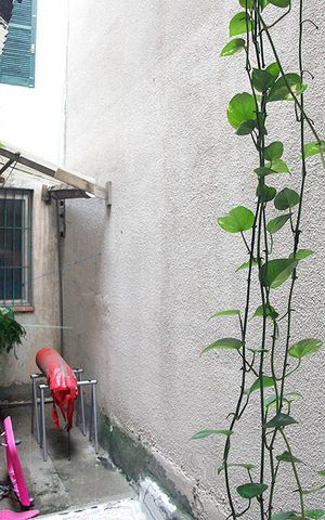Apartamento à venda com 63m², 2 quartos e sem vagaQuarto 2 Vista