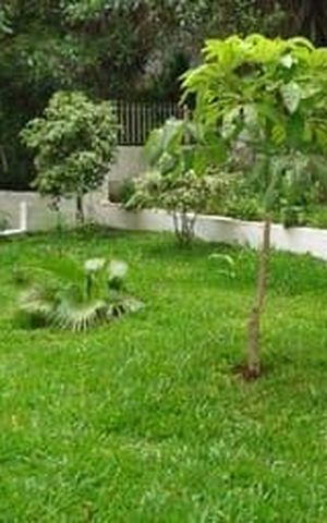 Apartamento à venda com 85m², 3 quartos e sem vaga