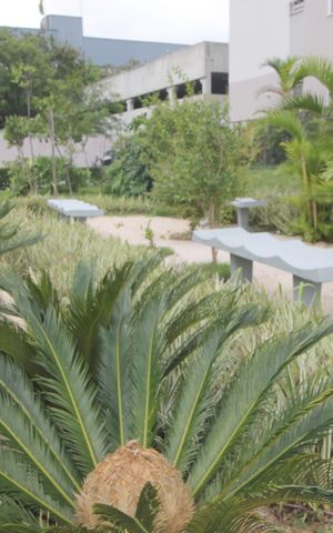 Studio para alugar com 51m², 2 quartos e 1 vagaÁrea Verde