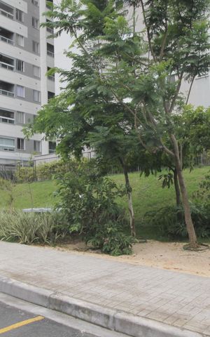 Studio para alugar com 51m², 2 quartos e 1 vagaÁrea Verde