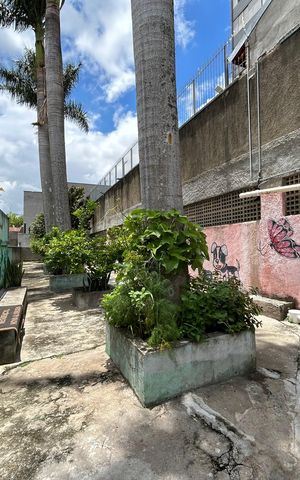 Apartamento para alugar com 60m², 2 quartos e 1 vaga Apartamento para alugar com 60m², 2 quartos e 1 vagaÁrea Pet
