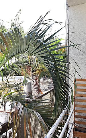 Apartamento à venda com 78m², 2 quartos e sem vagaSacada da Sala