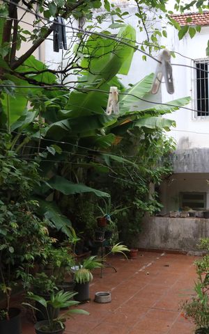 Casa à venda com 188m², 3 quartos e 2 vagasQuintal