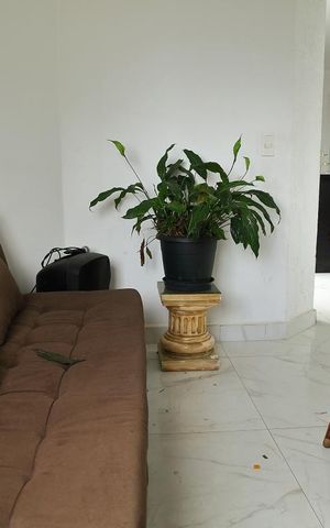 Apartamento à venda com 180m², 3 quartos e 3 vagasSala/ Sala da Lareira 