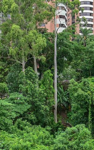Apartamento à venda com 130m², 3 quartos e 3 vagasVista da Suíte