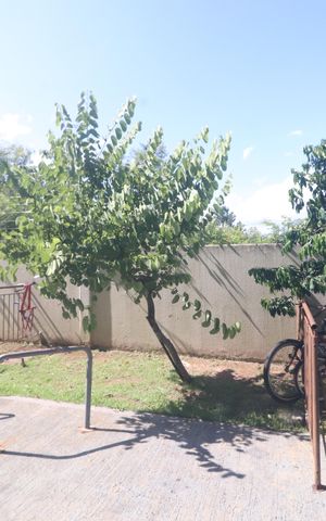 Apartamento para alugar com 39m², 2 quartos e 1 vagaQuarto 2