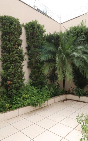Casa para alugar com 250m², 3 quartos e 4 vagasJardim