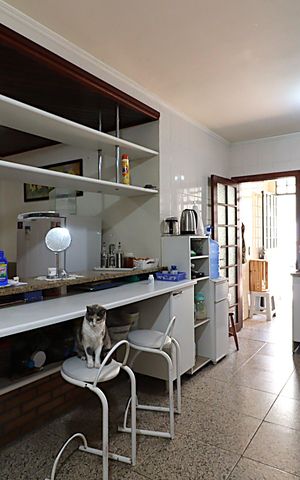 Casa à venda com 262m², 3 quartos e 6 vagasCozinha