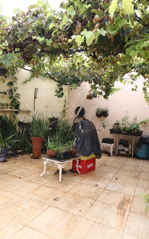 Casa para alugar com 390m², 3 quartos e 2 vagasQuintal