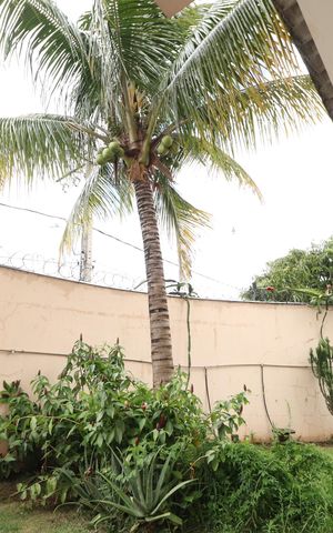 Casa para alugar com 390m², 3 quartos e 2 vagasJardim