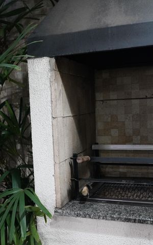 Apartamento à venda com 55m², 2 quartos e 1 vagaChurrasqueira
