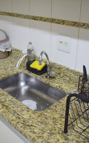 Apartamento para alugar com 340m², 3 quartos e 2 vagasCozinha - Torneira