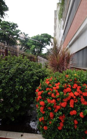 Apartamento à venda com 109m², 3 quartos e 2 vagasÁrea comum - Jardim