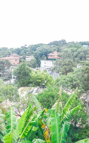 Casa à venda com 776m², 5 quartos e 4 vagasVista da Suíte 5