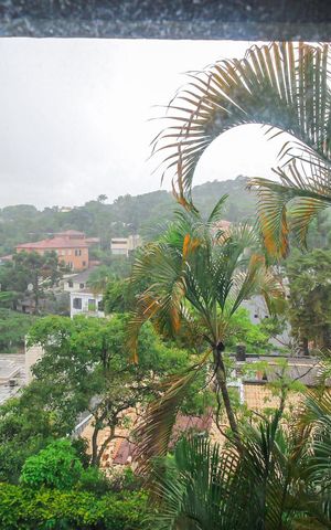 Casa à venda com 776m², 5 quartos e 4 vagasVista da Suíte 3