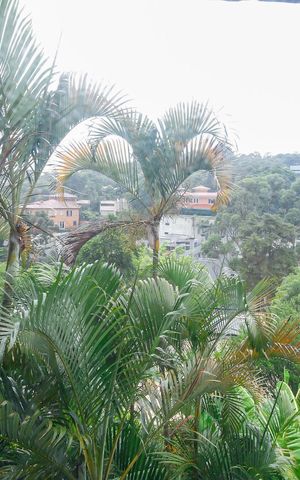 Casa à venda com 776m², 5 quartos e 4 vagasVista da Suíte 4