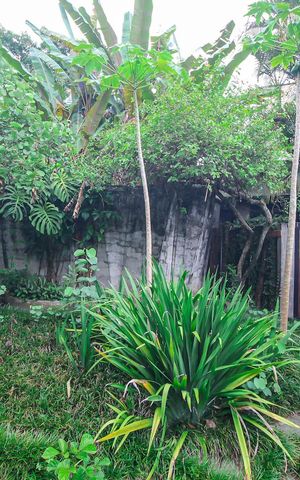 Casa à venda com 776m², 5 quartos e 4 vagasFachada