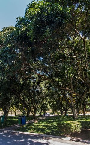 Casa de condomínio para alugar com 440m², 4 quartos e 4 vagasÁrea comum