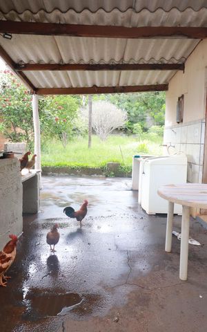 Casa para alugar com 1600m², 4 quartos e 12 vagasÁrea de serviço 