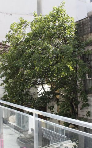 Casa à venda com 450m², 5 quartos e 4 vagasVaranda