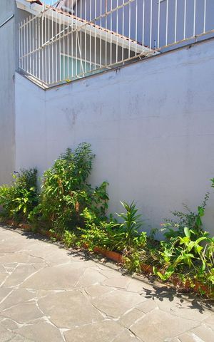 Casa à venda com 600m², 3 quartos e 3 vagasSala 1 - Vista
