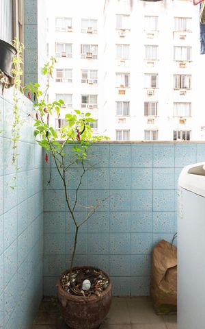 Apartamento para alugar com 110m², 3 quartos e 2 vagasÁrea de Serviço