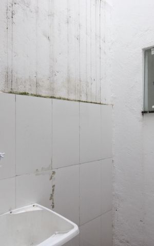 Casa de condomínio à venda com 70m², 2 quartos e 1 vagaÁrea de serviço