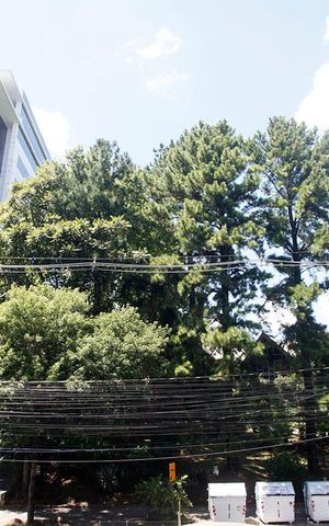 Apartamento à venda com 104m², 3 quartos e 1 vagaQuarto 2 Vista