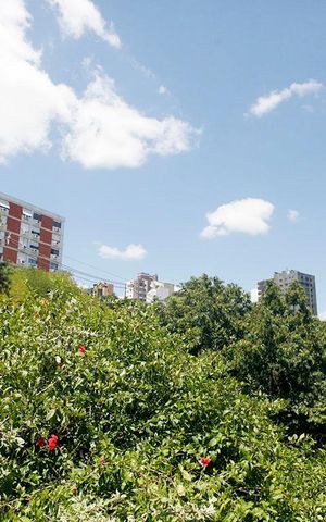 Apartamento à venda com 104m², 3 quartos e 1 vagaQuarto 1 Suíte Vista