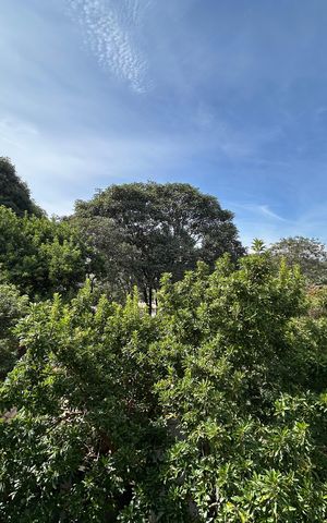 Casa à venda com 599m², 3 quartos e 3 vagas