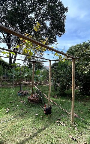 Casa à venda com 599m², 3 quartos e 3 vagas