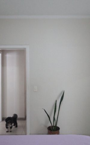Casa à venda com 525m², 6 quartos e 5 vagasCasa 2 | Suite 1
