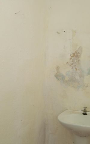 Casa à venda com 250m², 2 quartos e 5 vagasSalão de confraternização - Banheiro