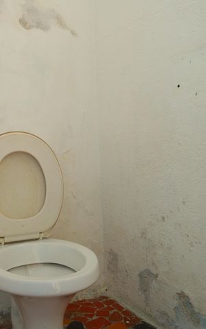 Casa à venda com 250m², 2 quartos e 5 vagasSalão de confraternização - Banheiro