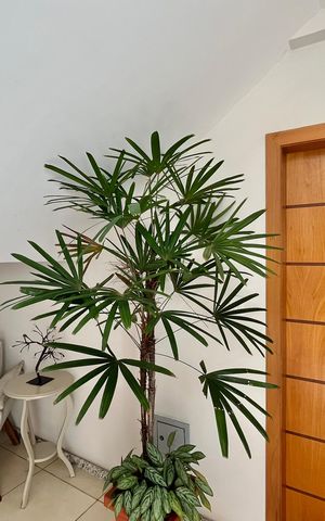 Apartamento à venda com 90m², 2 quartos e 1 vagaHall do Predio