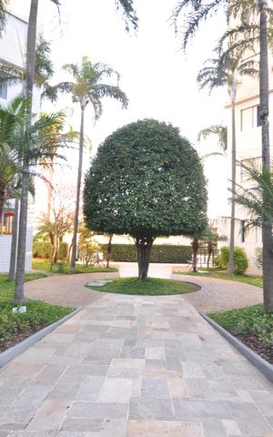 Apartamento à venda com 52m², 2 quartos e 1 vagaÁrea comum