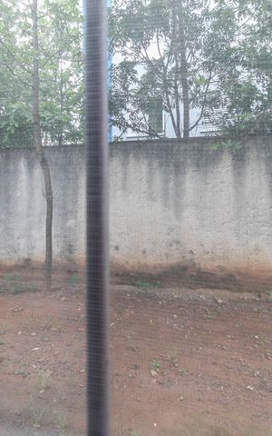 Apartamento à venda com 52m², 2 quartos e 1 vaga Apartamento à venda com 52m², 2 quartos e 1 vagaVista do Quarto 1