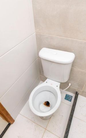 Apartamento à venda com 67m², 2 quartos e 1 vaga Apartamento à venda com 67m², 2 quartos e 1 vagaBanheiro social