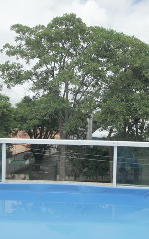 Apartamento para alugar com 140m², 3 quartos e 2 vagasCobertura