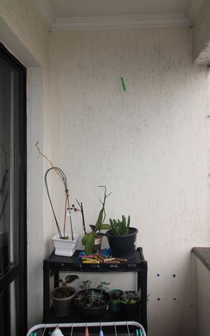 Apartamento à venda com 72m², 3 quartos e 1 vagaSala - Varanda