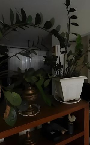 Casa para alugar com 210m², 4 quartos e 3 vagas