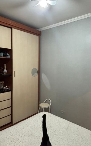 Casa à venda com 106m², 3 quartos e 1 vaga Casa à venda com 106m², 3 quartos e 1 vagaSuite