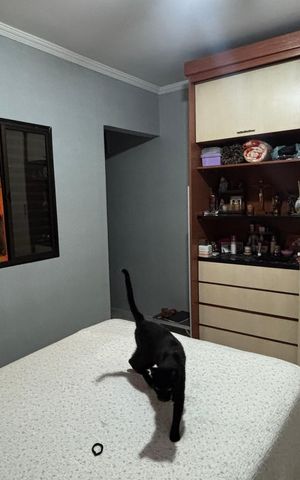 Casa à venda com 106m², 3 quartos e 1 vaga Casa à venda com 106m², 3 quartos e 1 vagaSuite