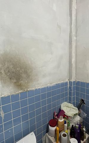 Casa para alugar com 198m², 4 quartos e sem vagaBanheiro
